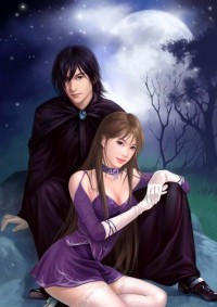 (鲁鲁修同人)continued story